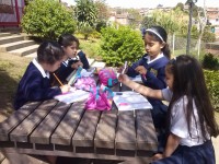 /album/proyecto-de-lectura/cam00005-jpg/